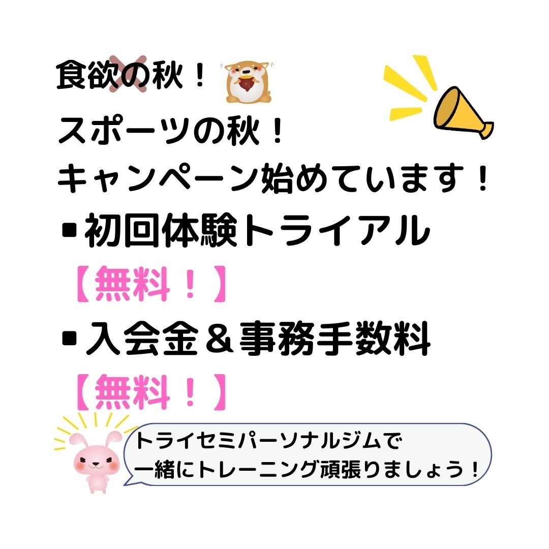 千葉県流山市のトライセミパーソナルジムの秋キャンペーン トライセミパーソナルジム 流山